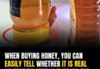 Fake Honey is Flooding The Market — Here’s How To Spot The Real Thing