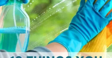 10 Things You Didn’t Know Windex Can Do