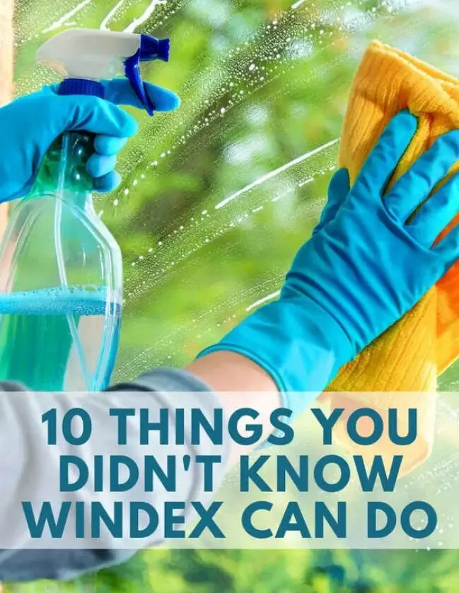 10 Things You Didn’t Know Windex Can Do
